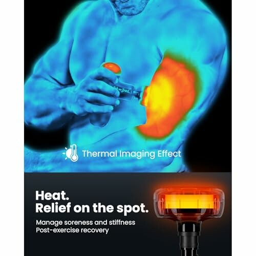 BOB AND BRAD Q2 Plus